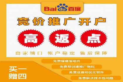 网络推广中竞价广告的投放策略及成功案例